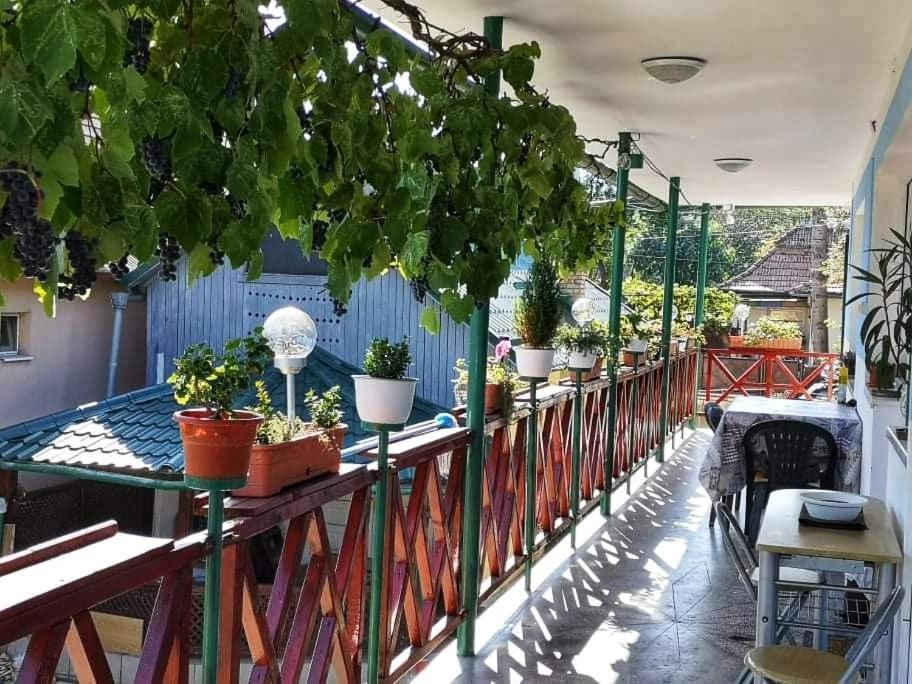 图尔达 Casa Vinco Vici酒店 外观 照片